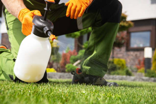 Best Commercial Pest Control  in Dalhart, TX